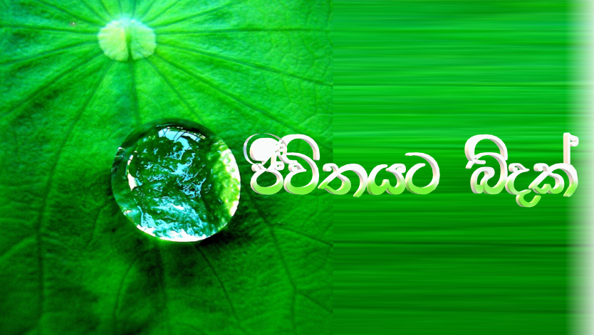 Awareness &  Motivational Programs